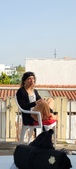 Enlarge photo 222