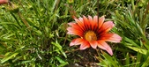 Enlarge photo 246
