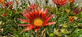 Enlarge photo 247