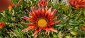 Enlarge photo 248