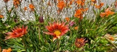 Enlarge photo 249