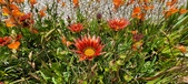 Enlarge photo 250