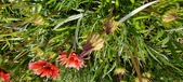 Enlarge photo 251