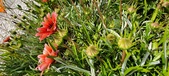 Enlarge photo 254
