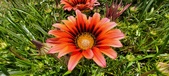 Enlarge photo 256