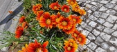 Enlarge photo 261