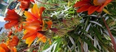 Enlarge photo 272