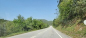 Enlarge photo 301