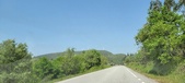 Enlarge photo 303