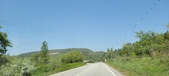 Enlarge photo 304