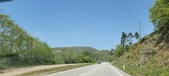 Enlarge photo 305
