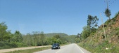 Enlarge photo 306