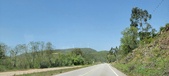Enlarge photo 307