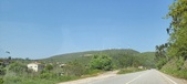 Enlarge photo 310