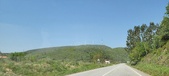Enlarge photo 311