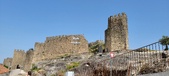 Enlarge photo 326