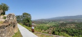 Enlarge photo 332