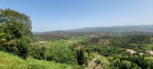 Enlarge photo 336