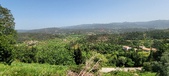Enlarge photo 338