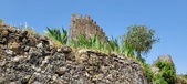 Enlarge photo 339