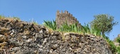 Enlarge photo 340