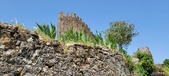 Enlarge photo 341