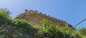 Enlarge photo 342