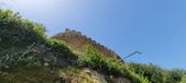 Enlarge photo 343