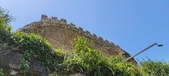 Enlarge photo 347