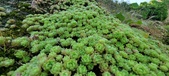 Enlarge photo 352