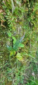 Enlarge photo 357