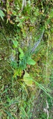 Enlarge photo 356