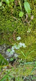 Enlarge photo 355
