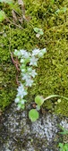 Enlarge photo 354