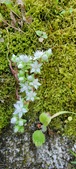 Enlarge photo 358