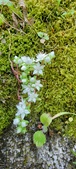 Enlarge photo 359