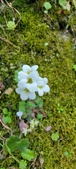 Enlarge photo 360