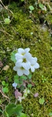 Enlarge photo 361