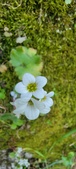 Enlarge photo 364