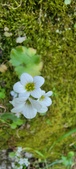 Enlarge photo 363