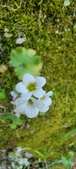 Enlarge photo 362