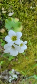 Enlarge photo 366