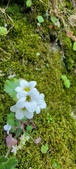 Enlarge photo 367