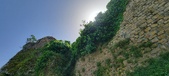Enlarge photo 369