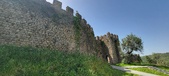 Enlarge photo 371