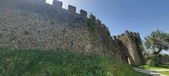 Enlarge photo 372