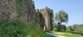 Enlarge photo 374