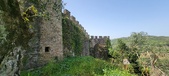 Enlarge photo 378