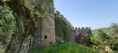 Enlarge photo 379