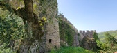 Enlarge photo 380